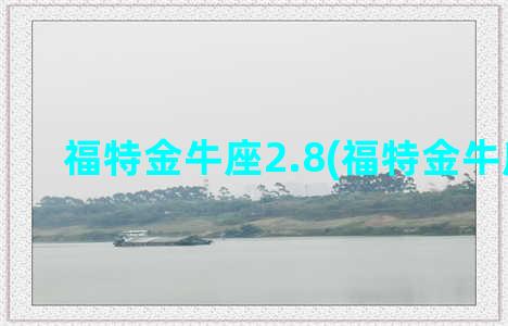 福特金牛座2.8(福特金牛座2.7T)