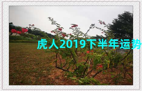 虎人2019下半年运势