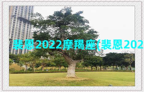 裴恩2022摩羯座(裴恩2022年下半年)