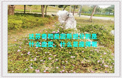 达芬奇和爱因斯坦分别是什么血型，什么星座得呢