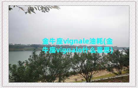 金牛座vignale油耗(金牛座vignale什么意思)