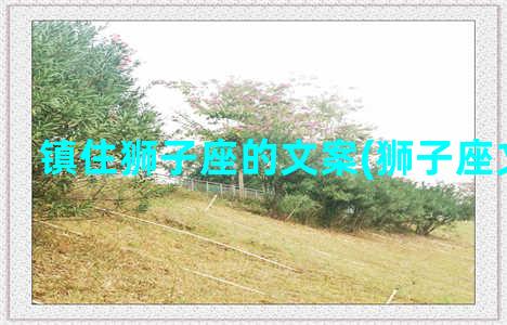 镇住狮子座的文案(狮子座文案馆)